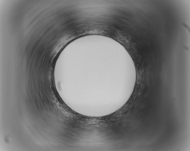 X0000099560098200806131243