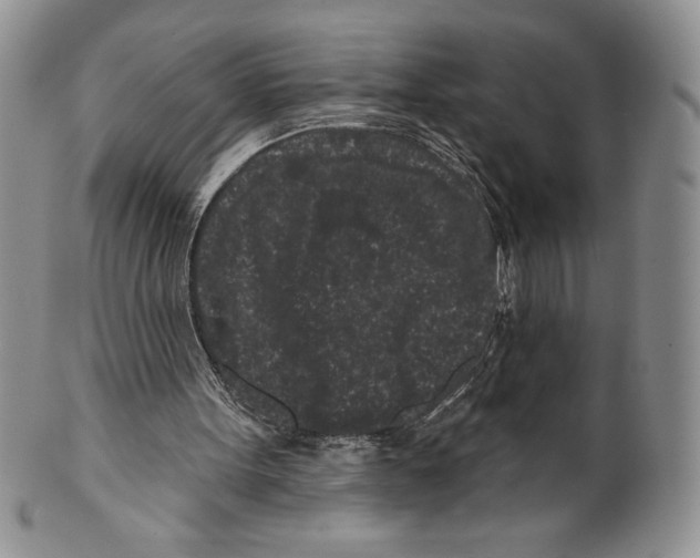 X0000099560099200806131243