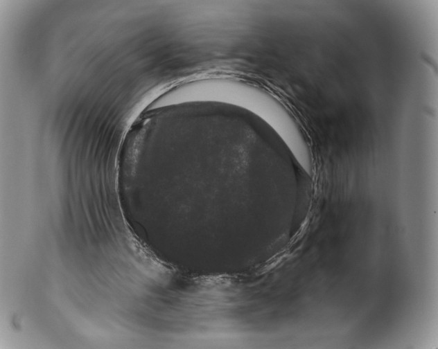X0000099560100200806131243