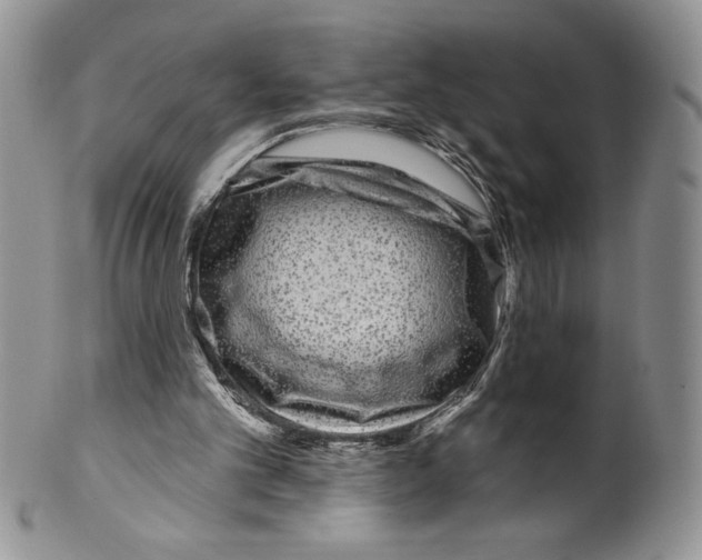 X0000099560101200806131243