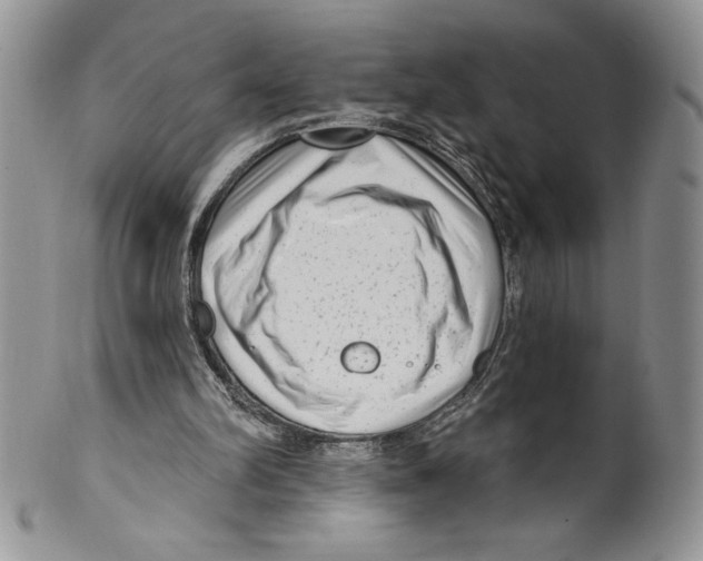X0000099560102200806131243