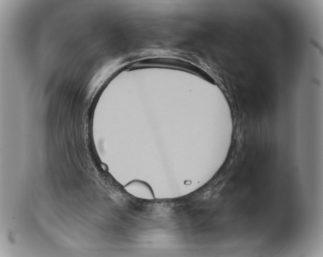 X0000099560103200806131243