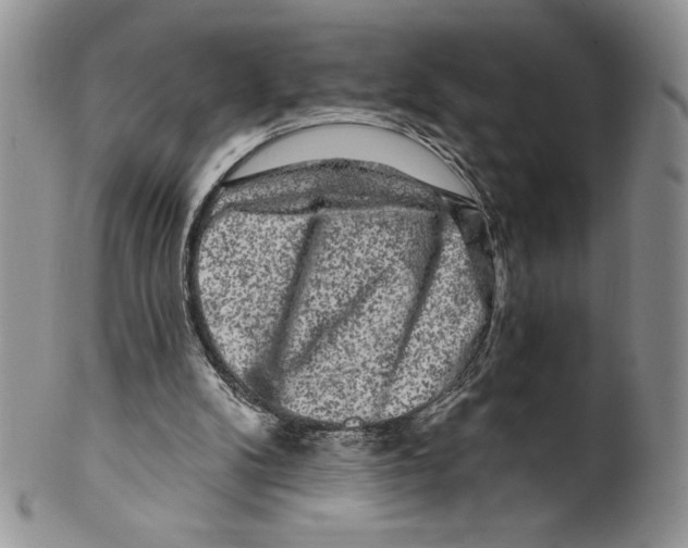 X0000099560104200806131243