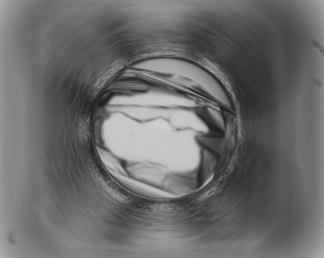X0000099560105200806131243