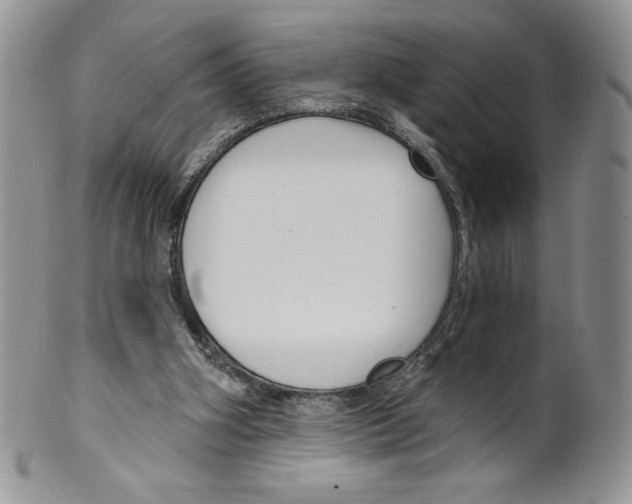 X0000099560106200806131243