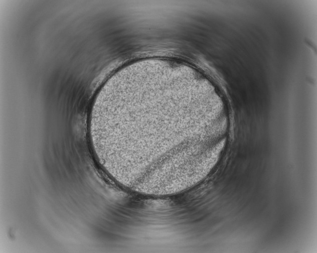 X0000099560107200806131243