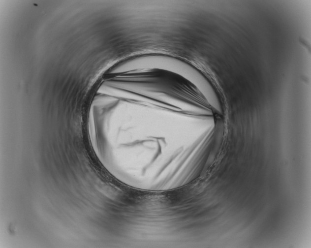 X0000099560108200806131243