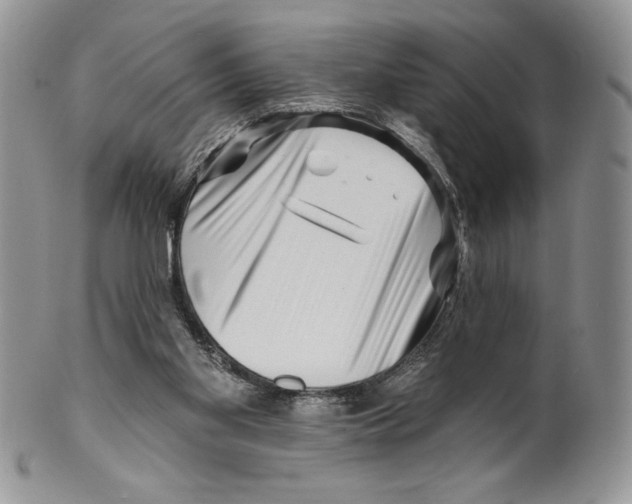 X0000099560109200806131243