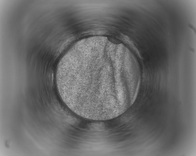 X0000099560110200806131243