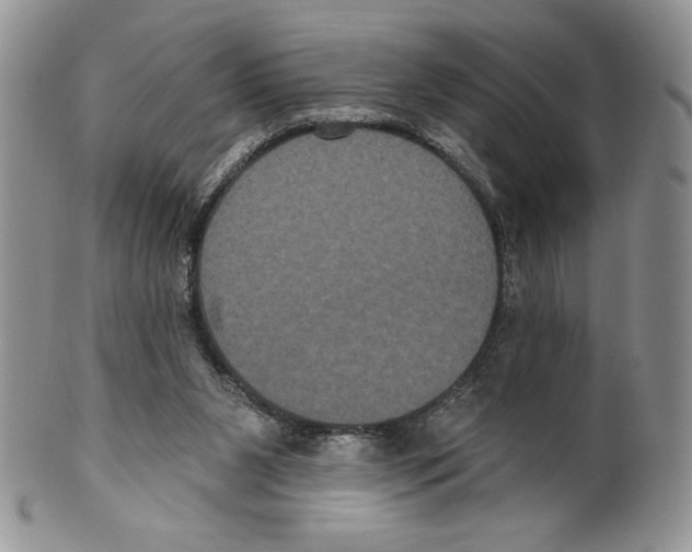 X0000099560111200806131243