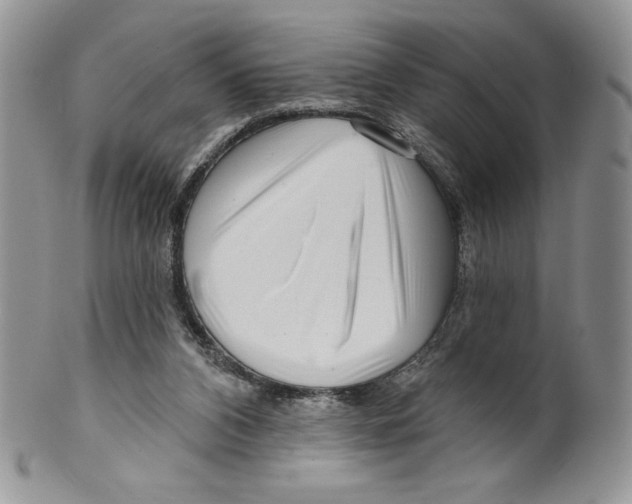X0000099560112200806131243