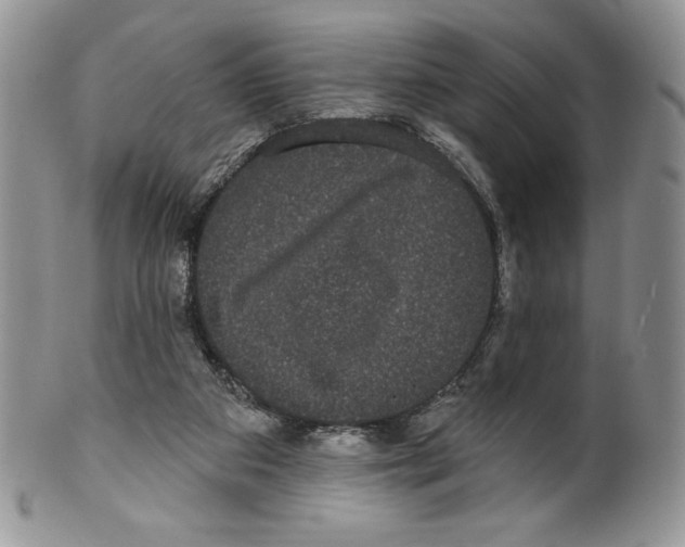 X0000099560113200806131243