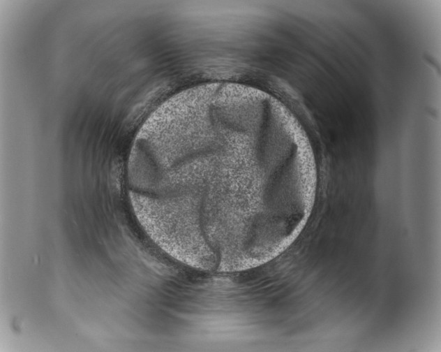 X0000099560114200806131243