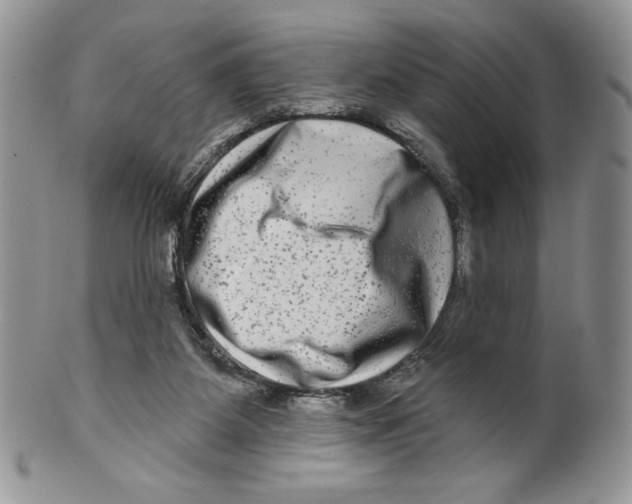X0000099560115200806131243