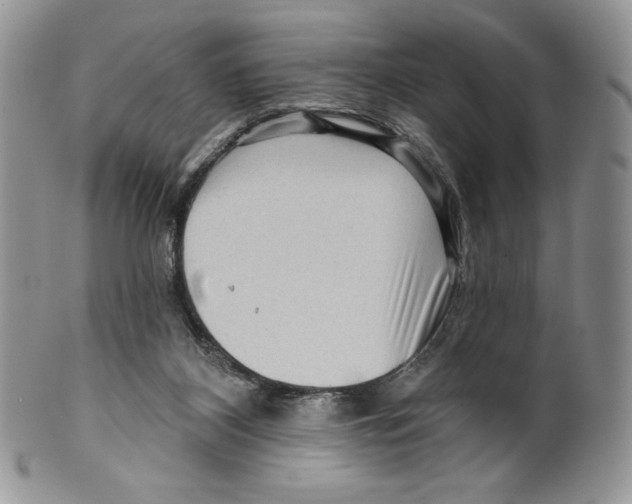 X0000099560116200806131243