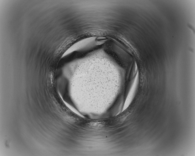 X0000099560117200806131243