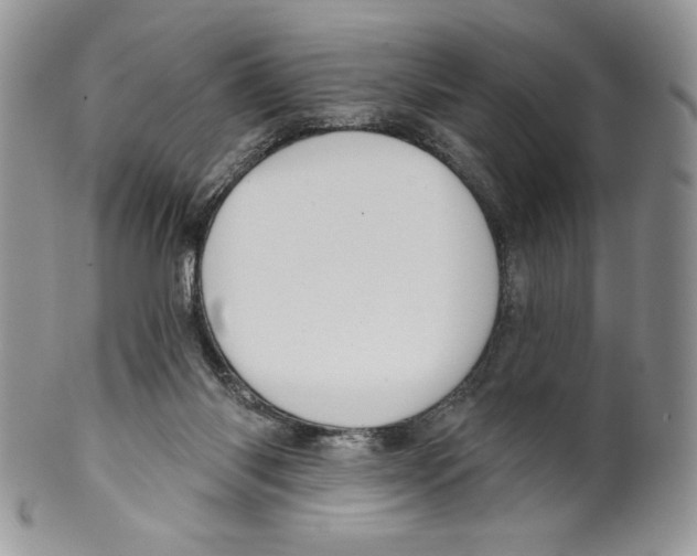 X0000099560118200806131243