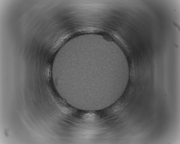 X0000099560119200806131243