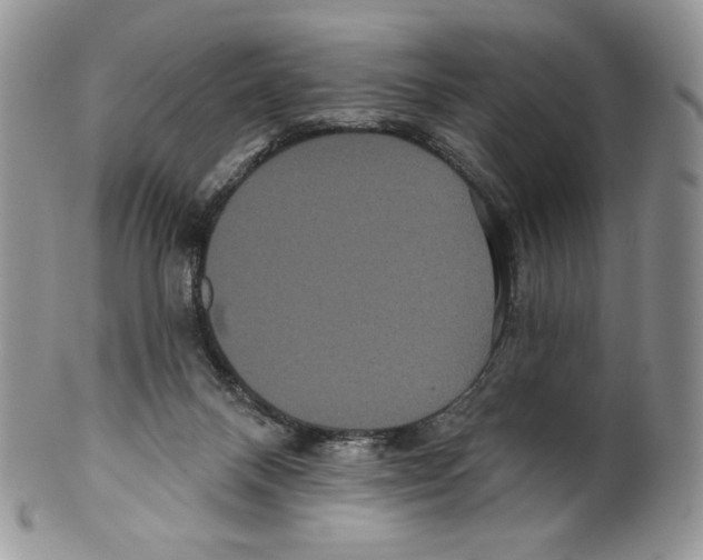 X0000099560120200806131243