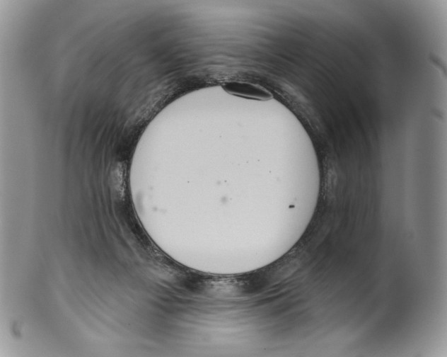 X0000099560121200806131243