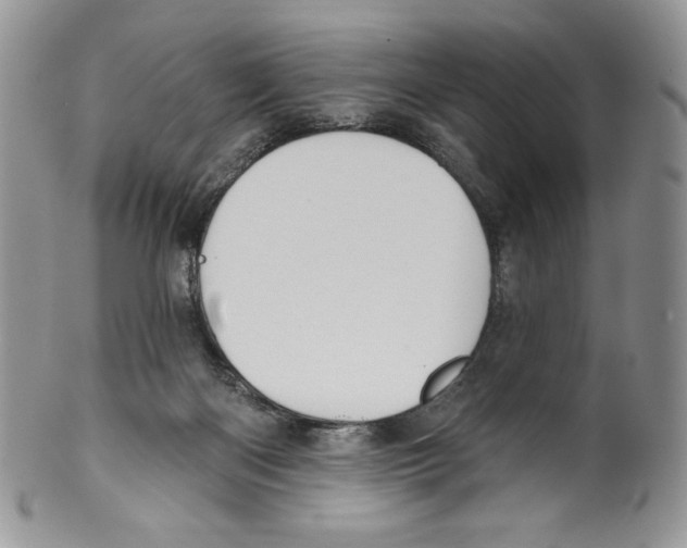 X0000099560122200806131243