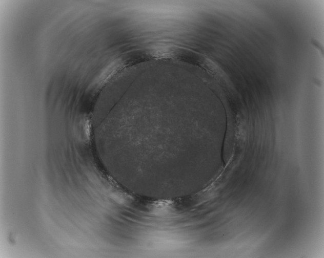 X0000099560124200806131243
