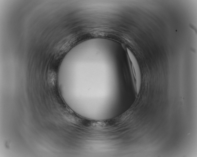 X0000099560125200806131243