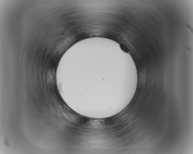 X0000099560126200806131243