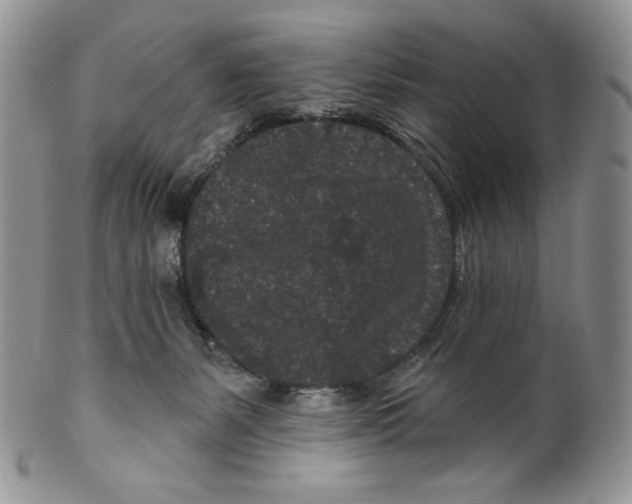 X0000099560127200806131243