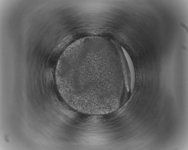 X0000099560128200806131243