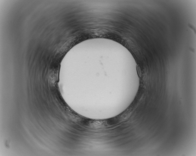 X0000099560129200806131242