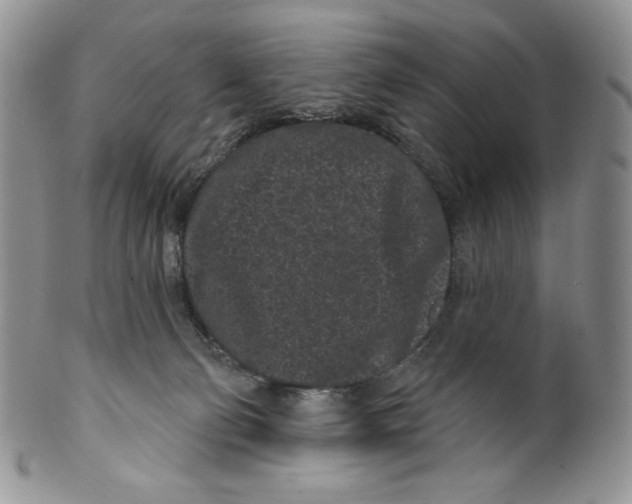 X0000099560130200806131242