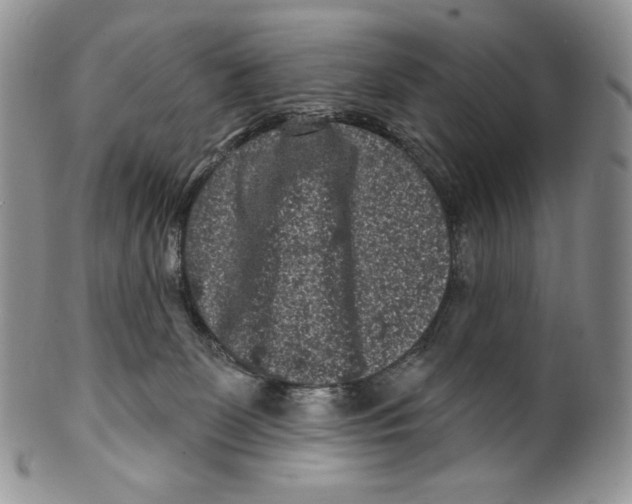 X0000099560131200806131242