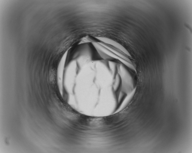 X0000099560132200806131242