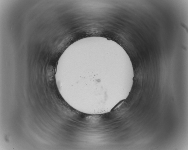 X0000099560133200806131242