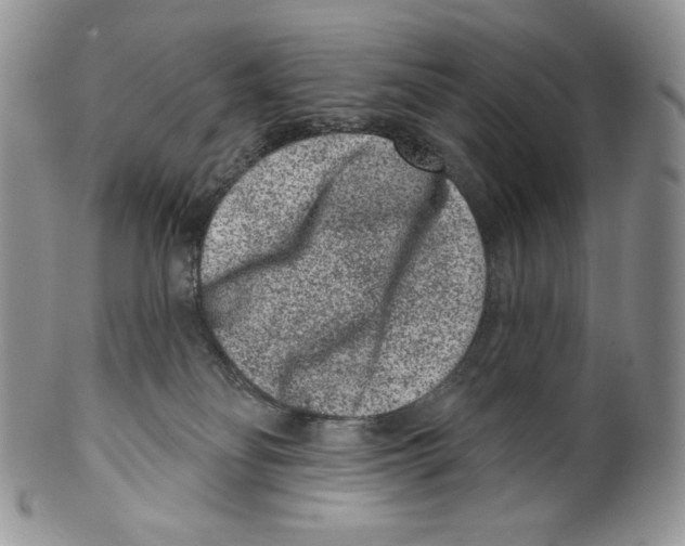 X0000099560134200806131242