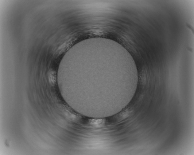 X0000099560135200806131242