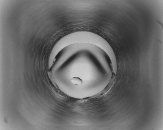X0000099560136200806131242