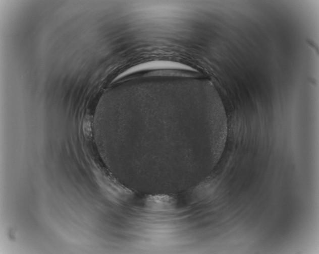 X0000099560137200806131242