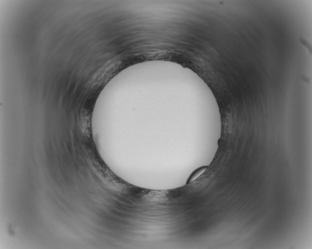 X0000099560138200806131242