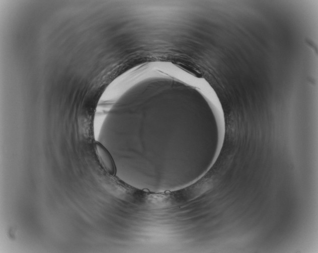 X0000099560139200806131242