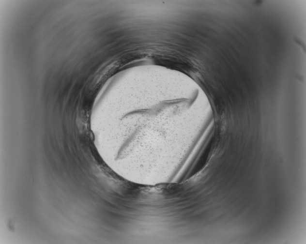 X0000099560140200806131242