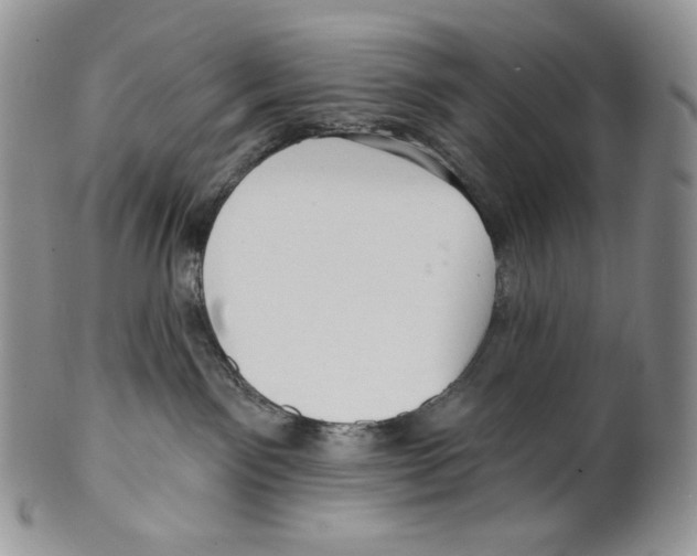 X0000099560141200806131242
