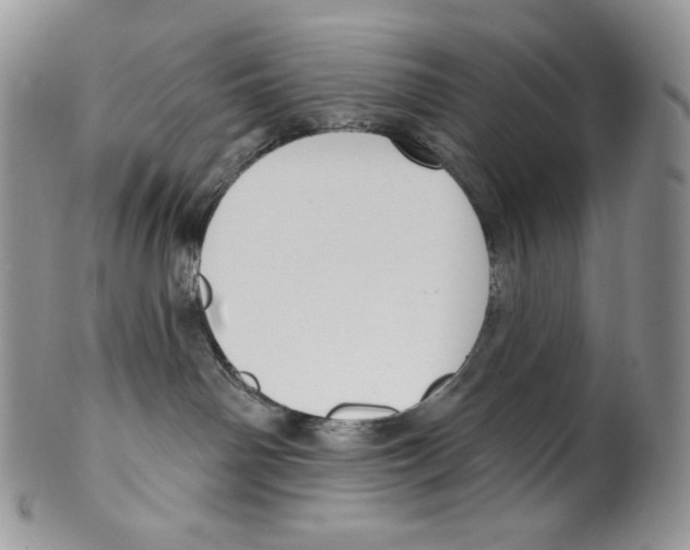 X0000099560142200806131242