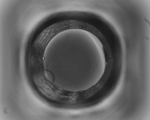 X0000099560143200806131242