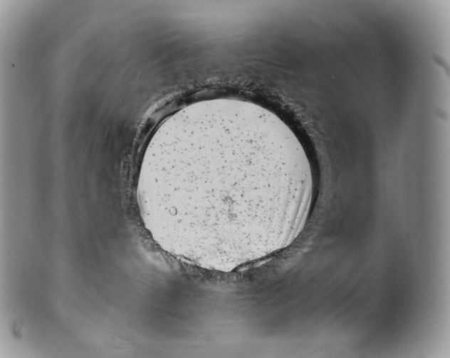 X0000099560144200806131242