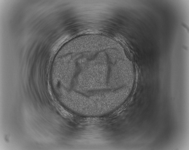 X0000099560145200806131242