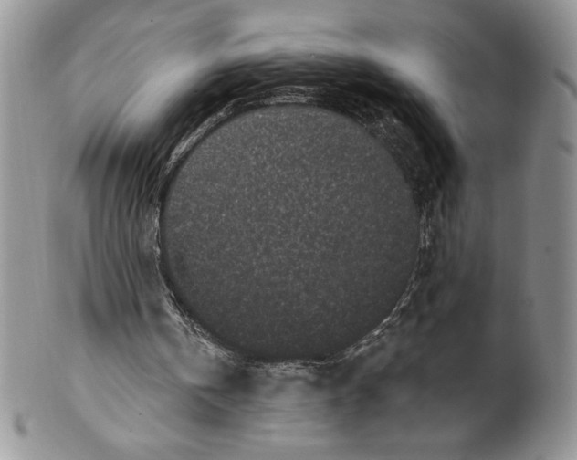 X0000099560146200806131242