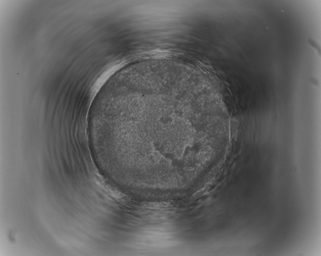 X0000099560147200806131242
