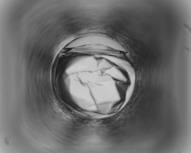 X0000099560148200806131242